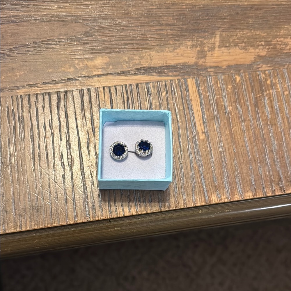 Elegant Blue and Silver Stud Earrings